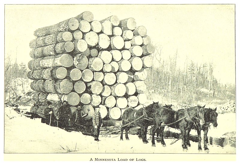 File:MN1893 pg040 A MINNESOTA LOAD OF LOGS.jpg