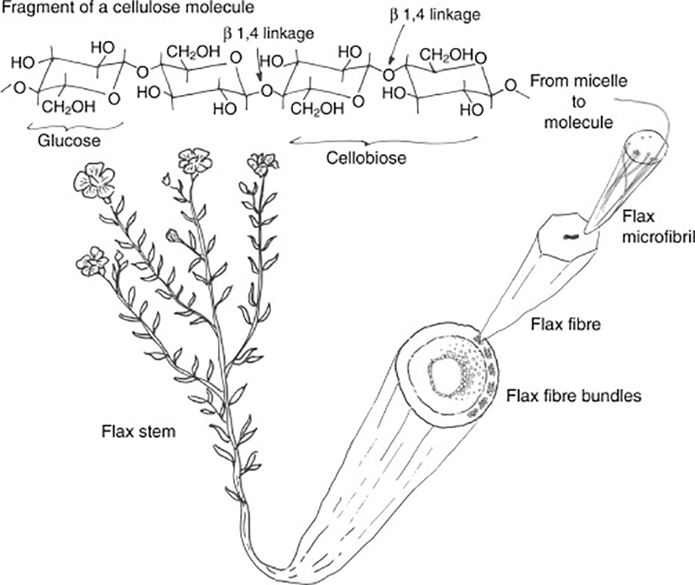 How is flax made into clearance linen