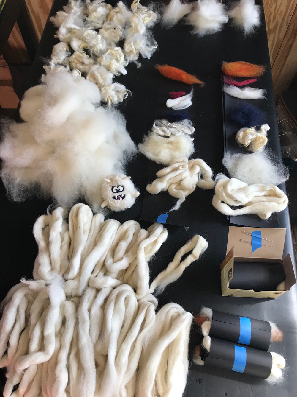 Becoming Intimate with the Characters of Wool