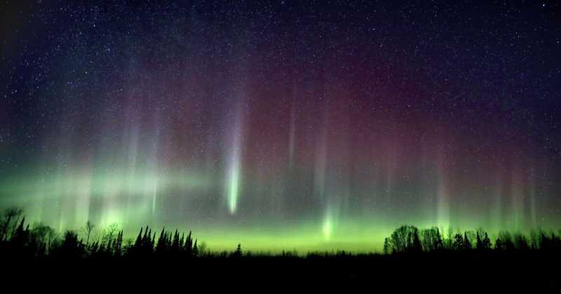 Comet, Eclipse and Aurora: Exploring the Night Sky Online 2021