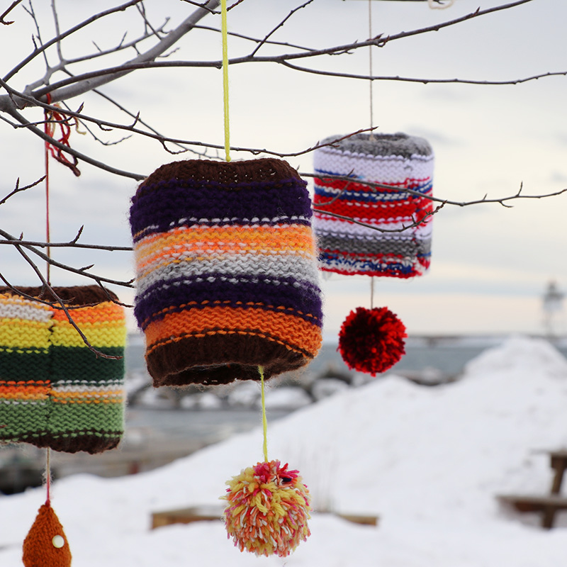 Fiber February