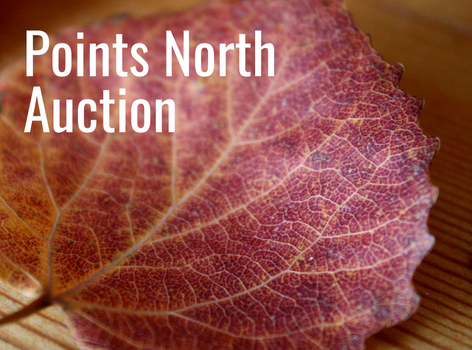 Points North Online Auction