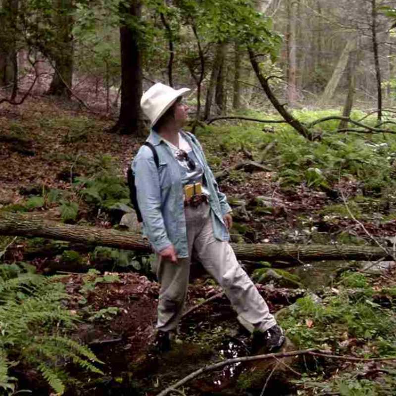 North House Folk School photo of instructor, Betsy Colburn