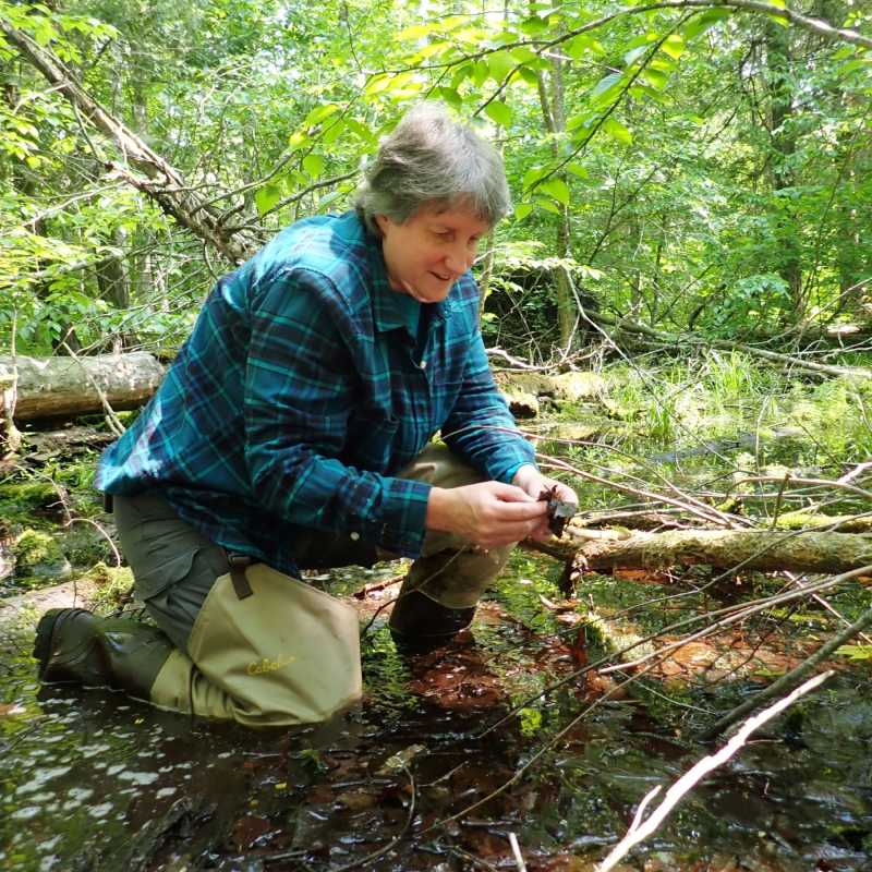 North House Folk School photo of instructor, Sue Eggert