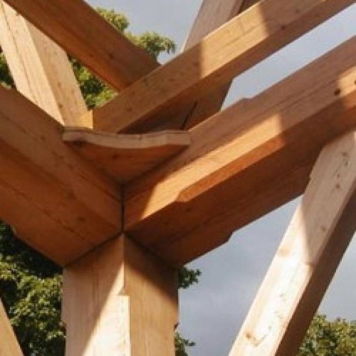 Teaser image for Timber Frame: Group Building