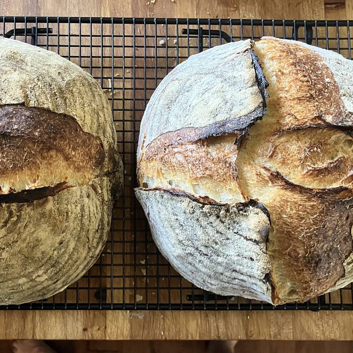 Teaser image for Artisan Breads Immersion