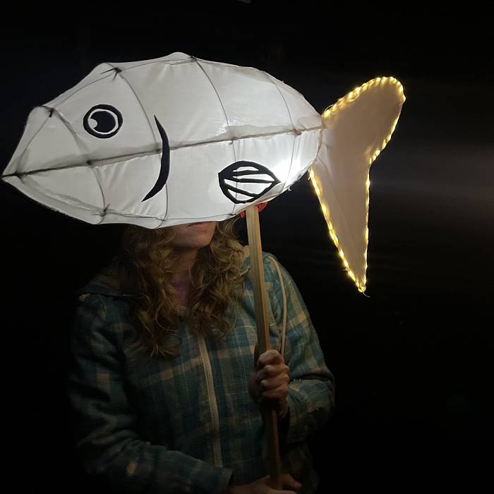 Teaser image for Introduction to Lantern Puppets
