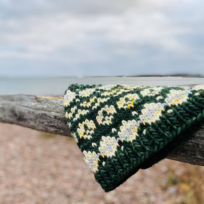 Teaser image for Knitting for the Great Lakes