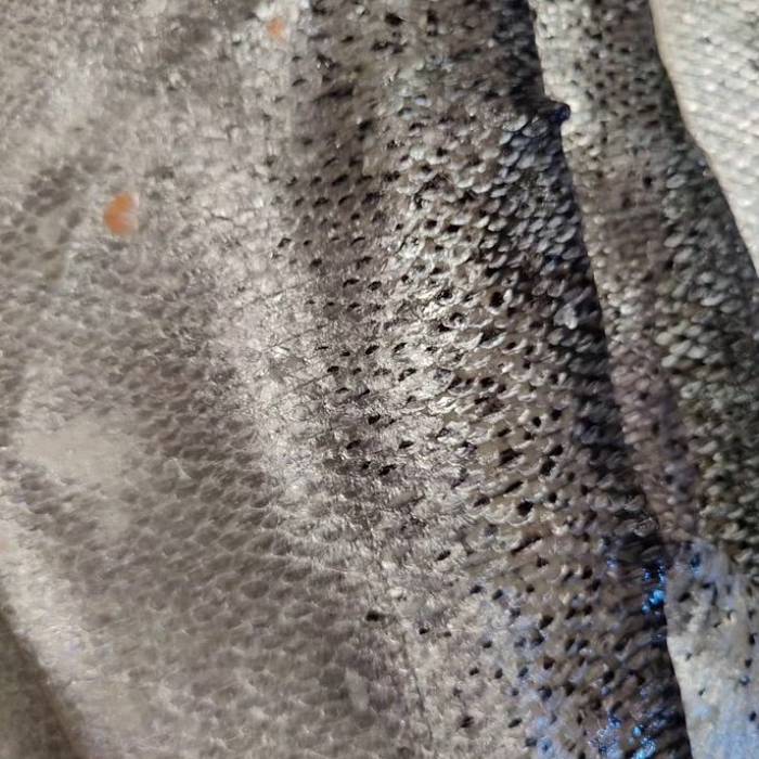 Teaser image for Fish Skin Tanning