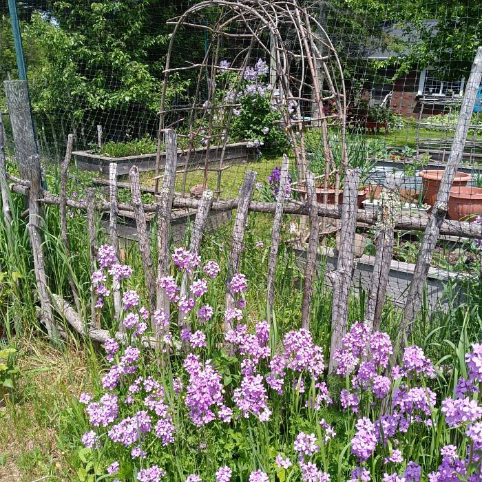 Teaser image for Wattle Fences and Garden Trellises