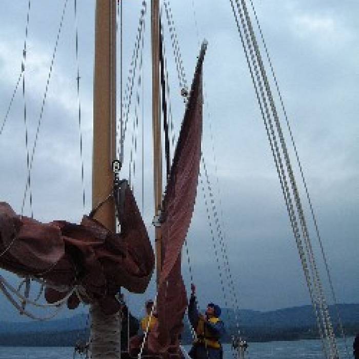 Teaser image for Sail Training: Harbor-Based