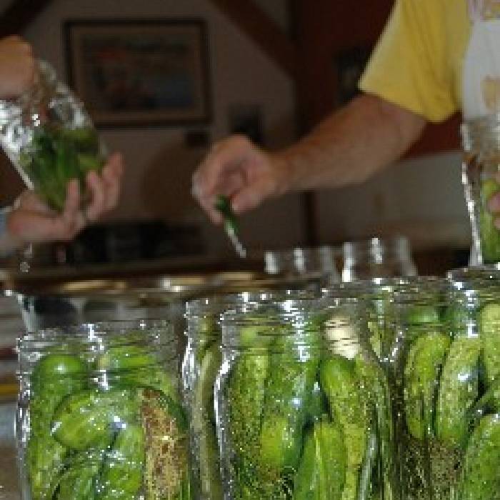 Teaser image for Getting Pickled: The Fine Art of Canning Dill Pickles