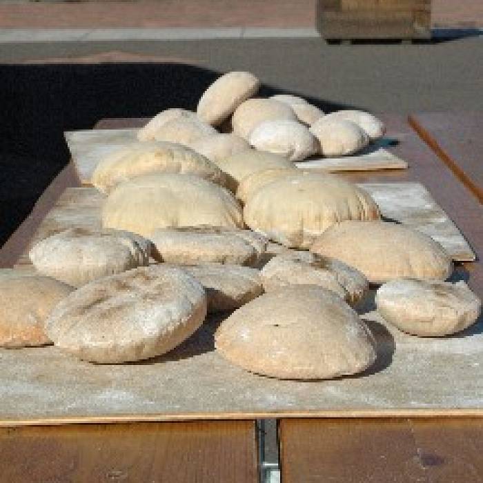 Flatbreads from the WoodFired Hearth, North House Folk School Course