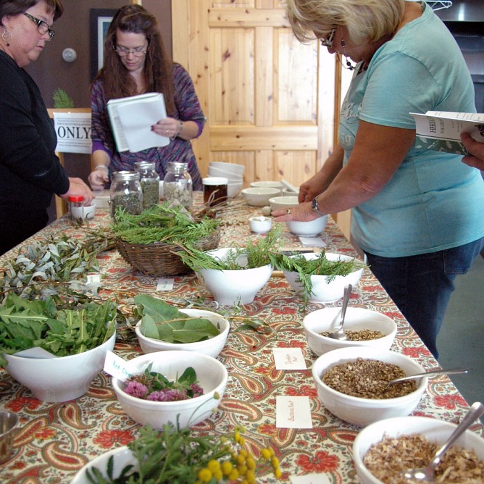 Herbalism Apprentice Beginner's Botanical Medicine, Self Care to