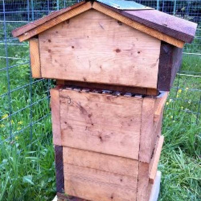 Teaser image for Top-Bar Bee Hive Construction: For the Joy of Keeping Bees