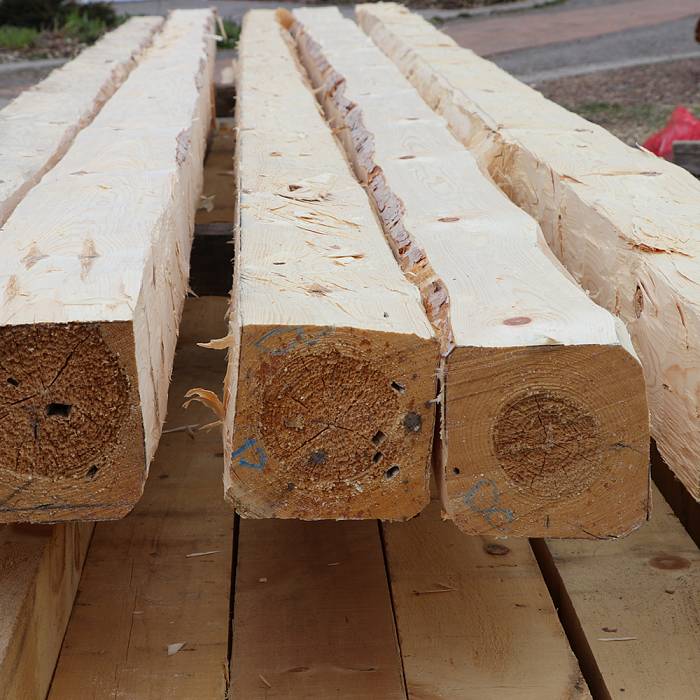 Teaser image for Log to Timber: Building by Hand