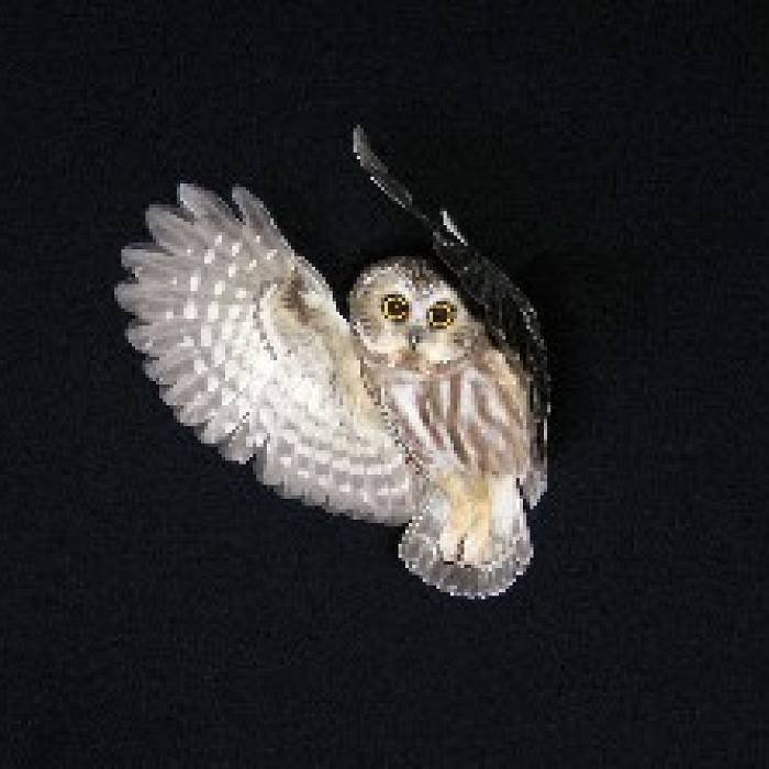 Teaser image for Owling: The Darker Side of Migration