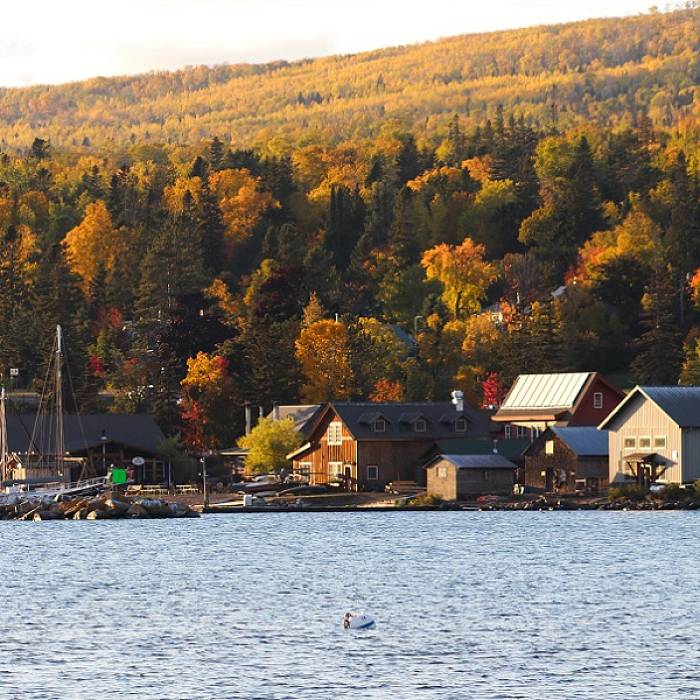 Teaser image for Unplugged 2026