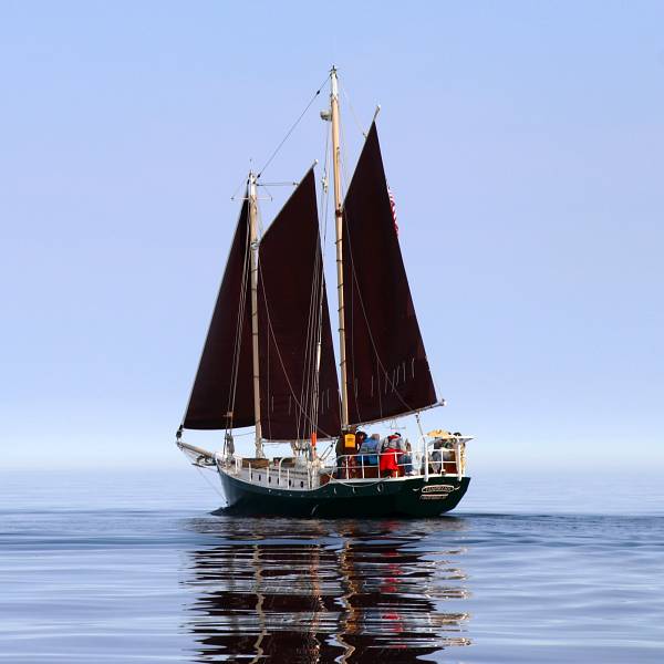 Image for