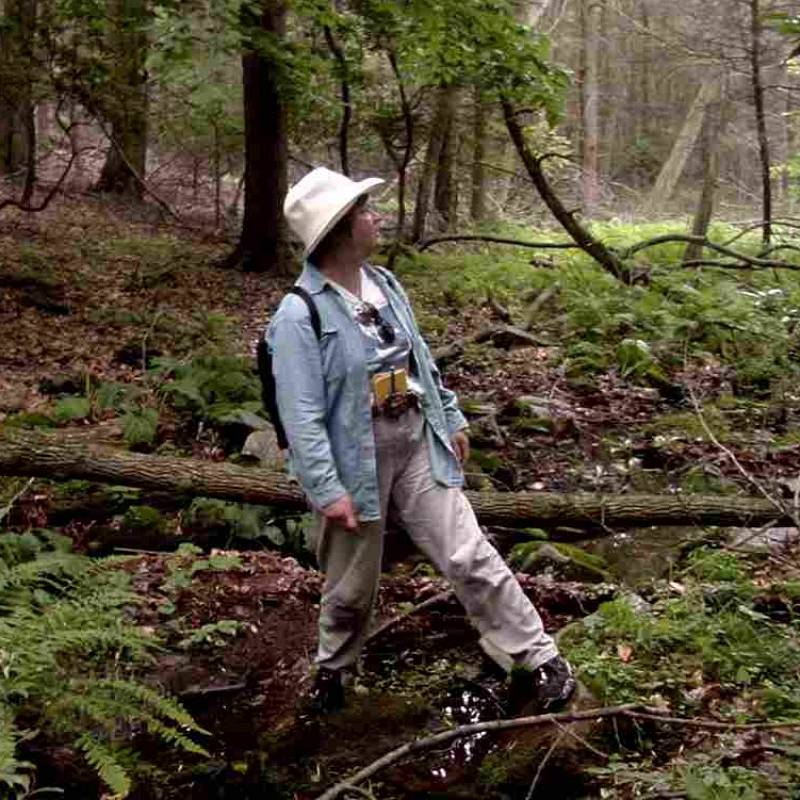 North House Folk School photo of instructor, Betsy Colburn