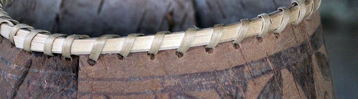 Harvesting Birch Bark - The Folk School Fairbanks